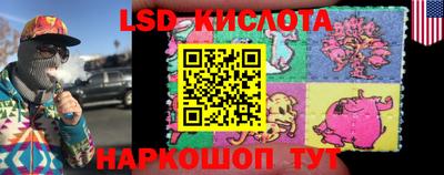 mdpv Кингисепп