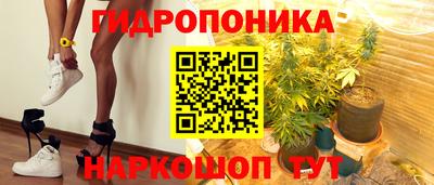 mdpv Кингисепп