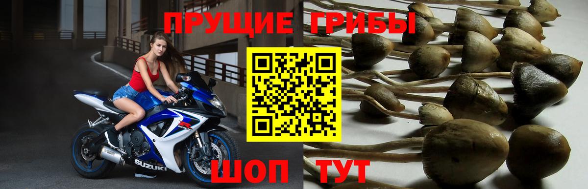 Галлюциногенные грибы мухоморы  Вход с VPN  Чистополь 